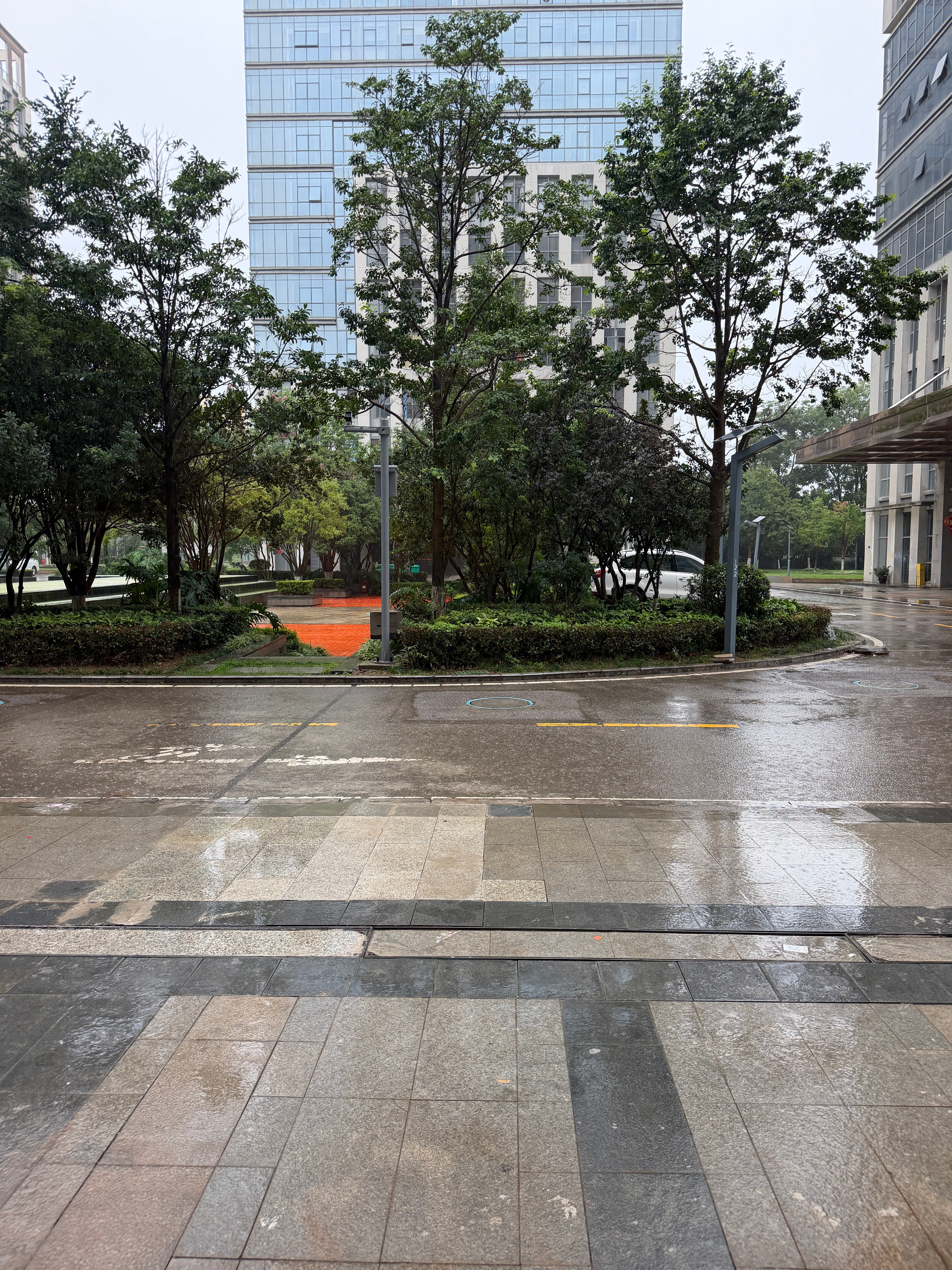 我讨厌上班路的雨 每次打车都要打半个小时 