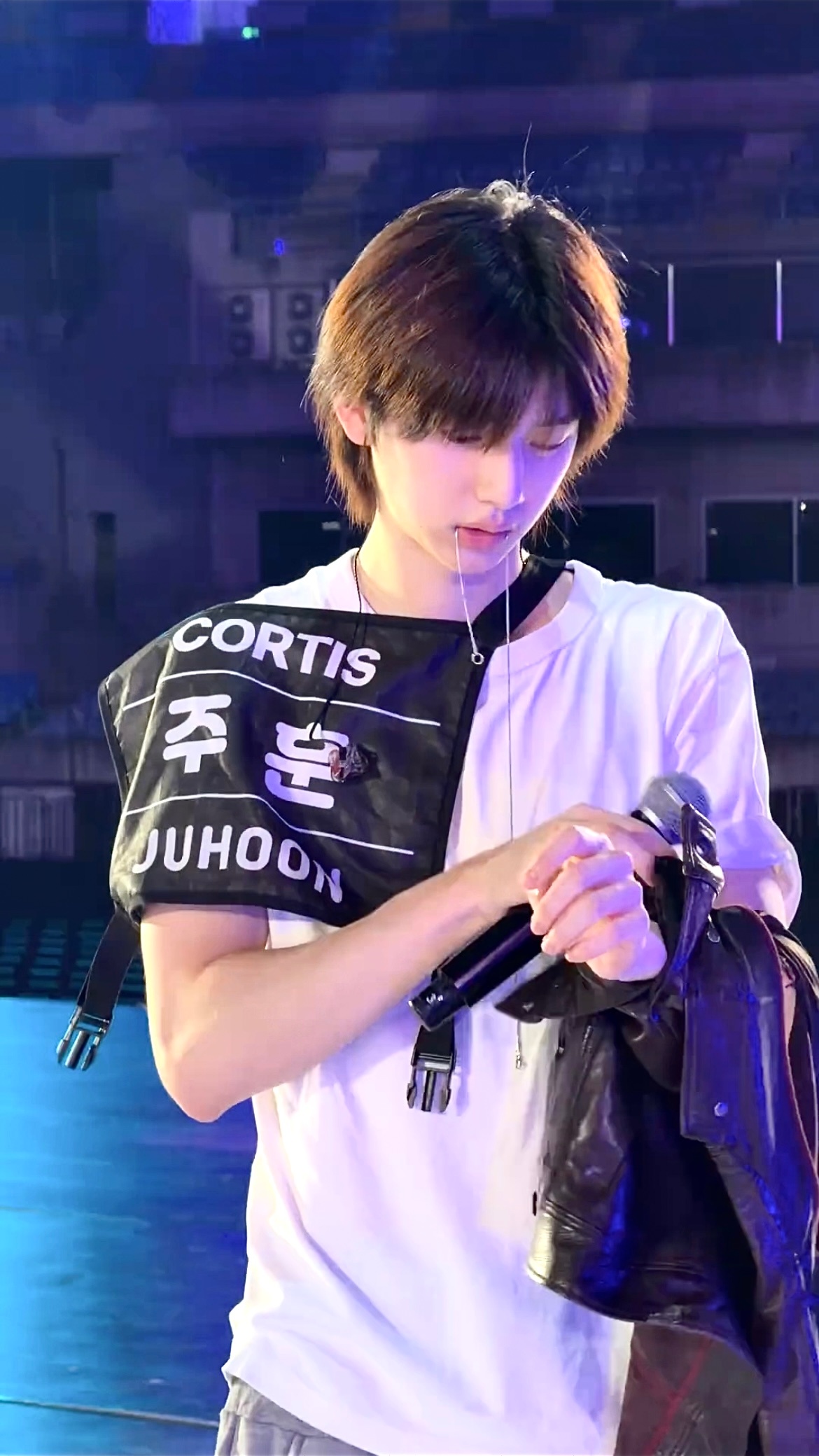 金主训到底啥意思啊！ 