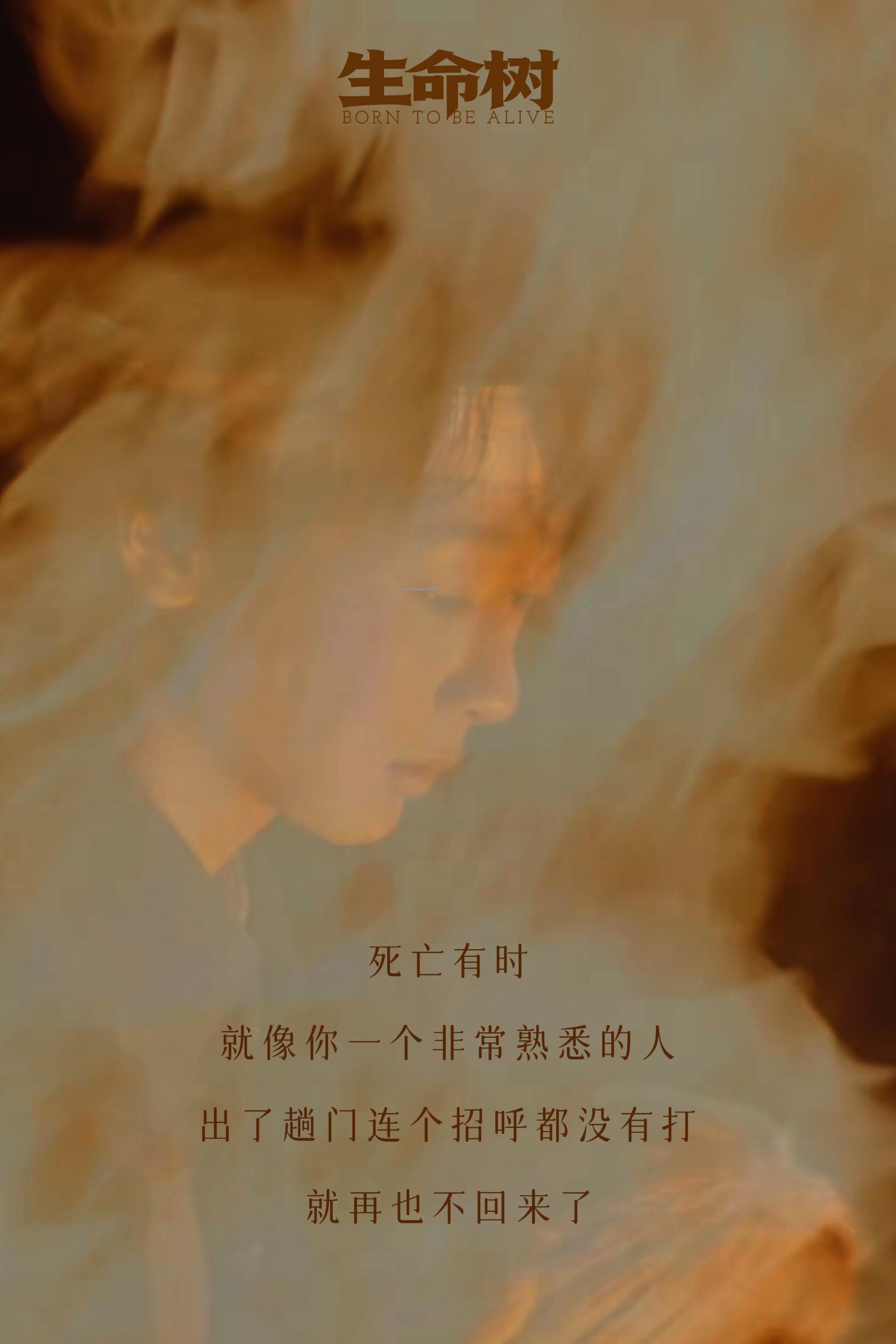 生命树值得被白玉兰肯定🤲「向下扎根，向上共生」，如此有温度的故事🌳 