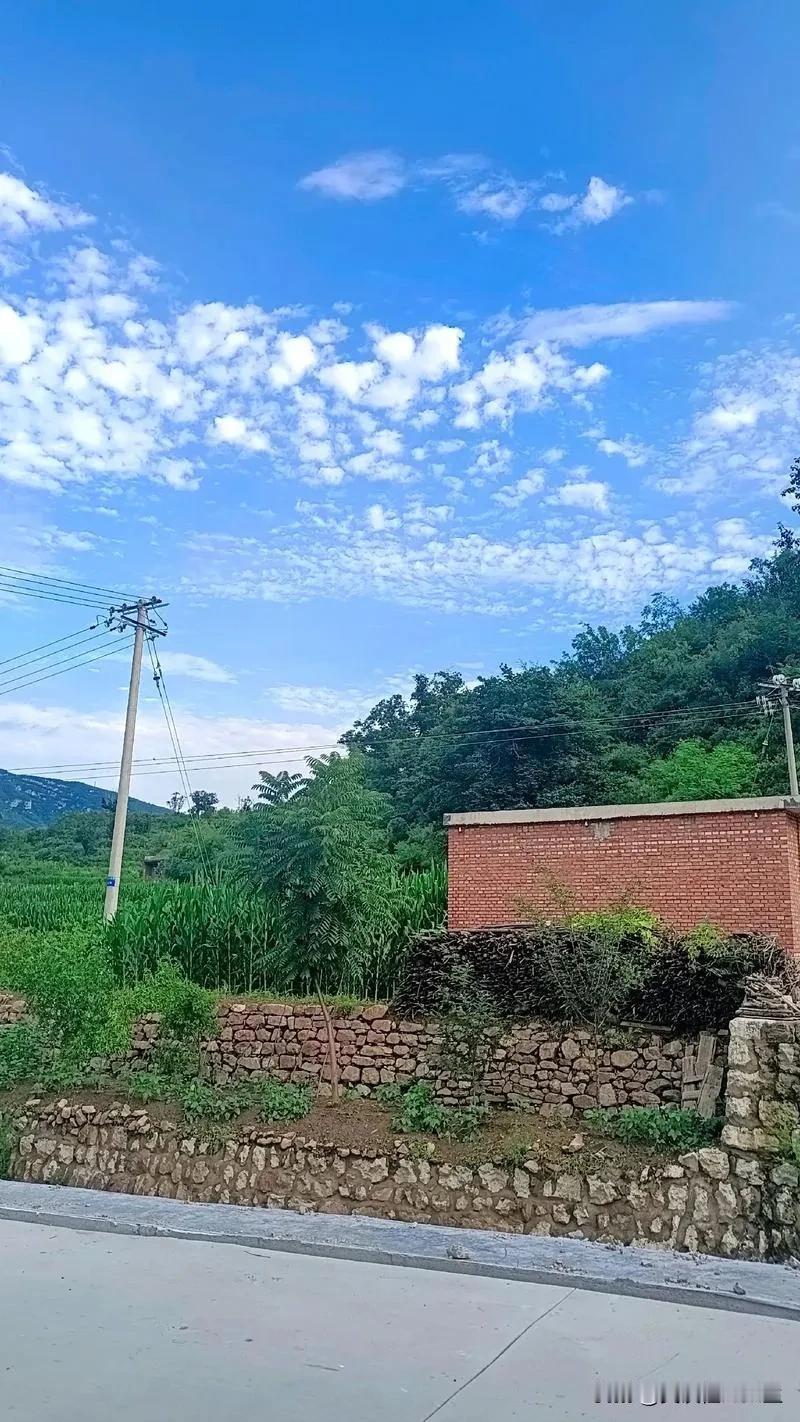 泪目！能和父母彼此牵挂，最起码心里有个念想，也算是幸福的。父母不在，家就名存实亡