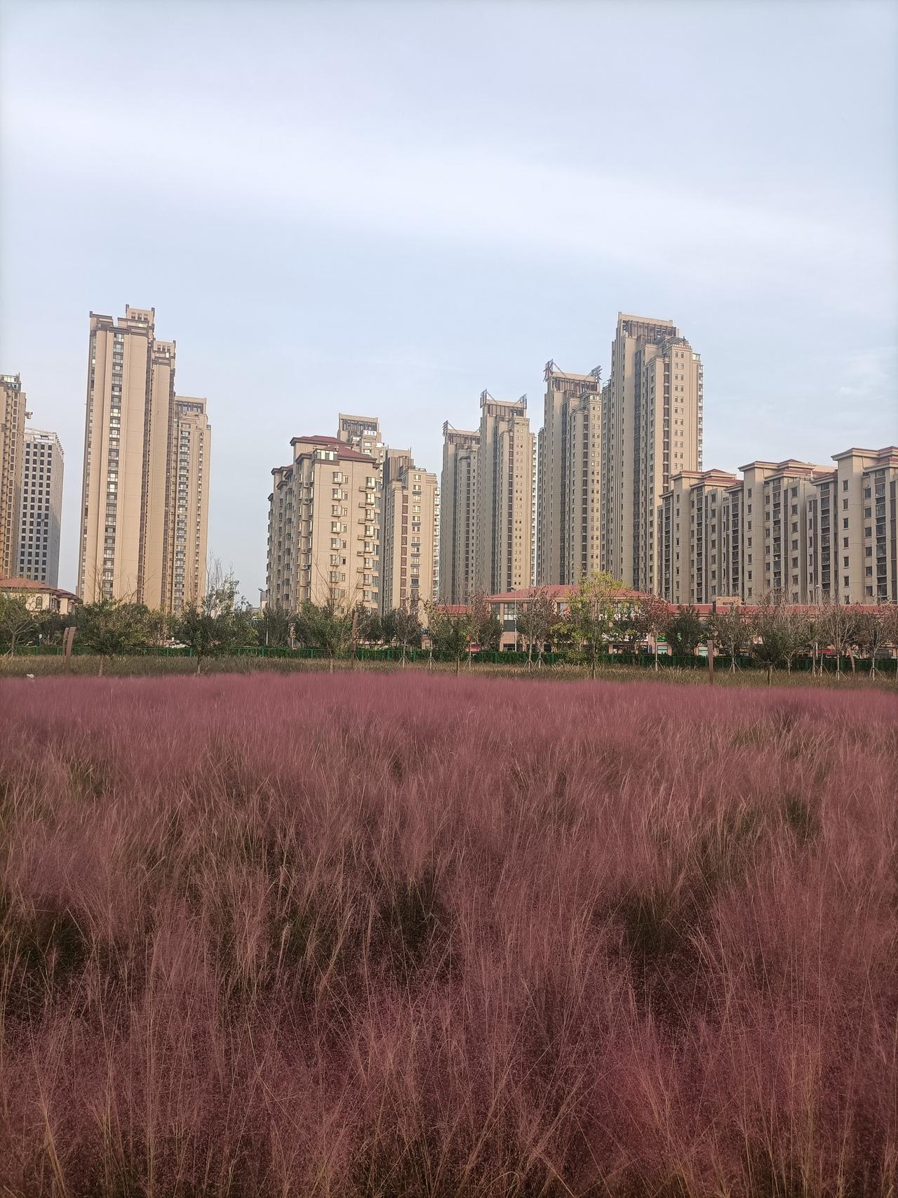 王猛很猛


前秦皇帝苻坚非常欣赏王猛的才华，经常对人说，自己得到王猛，就像刘备