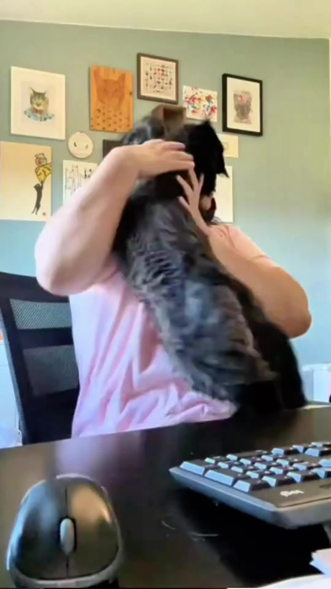 有谁知道为什么小猫突然会发狂的抓人，还会发疯的撕咬人，像这样的小猫还可以养吗？