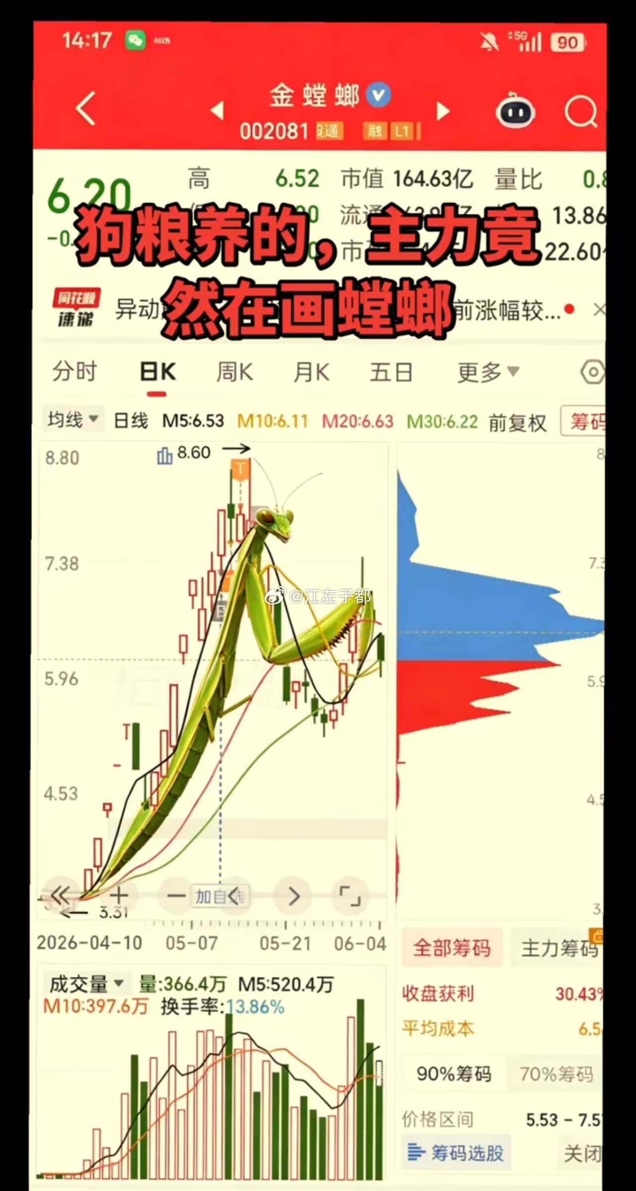 金螳螂