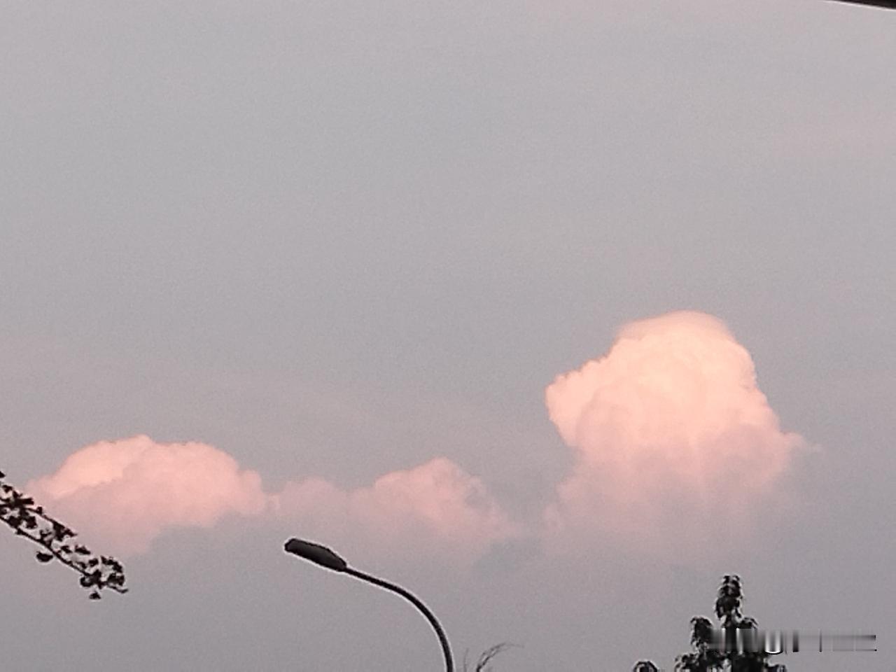 到底是天气太热了，还是我不抗热了。以前刚生娃没安空调，我和娃热的汗呼呼滴，但我感