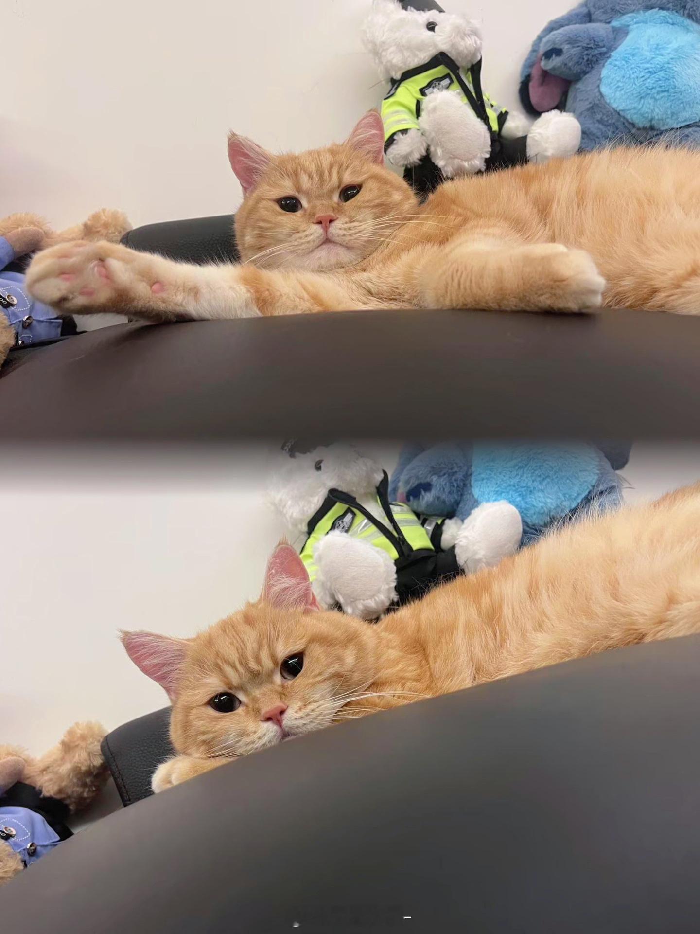 休好每个48🫶 ​​​