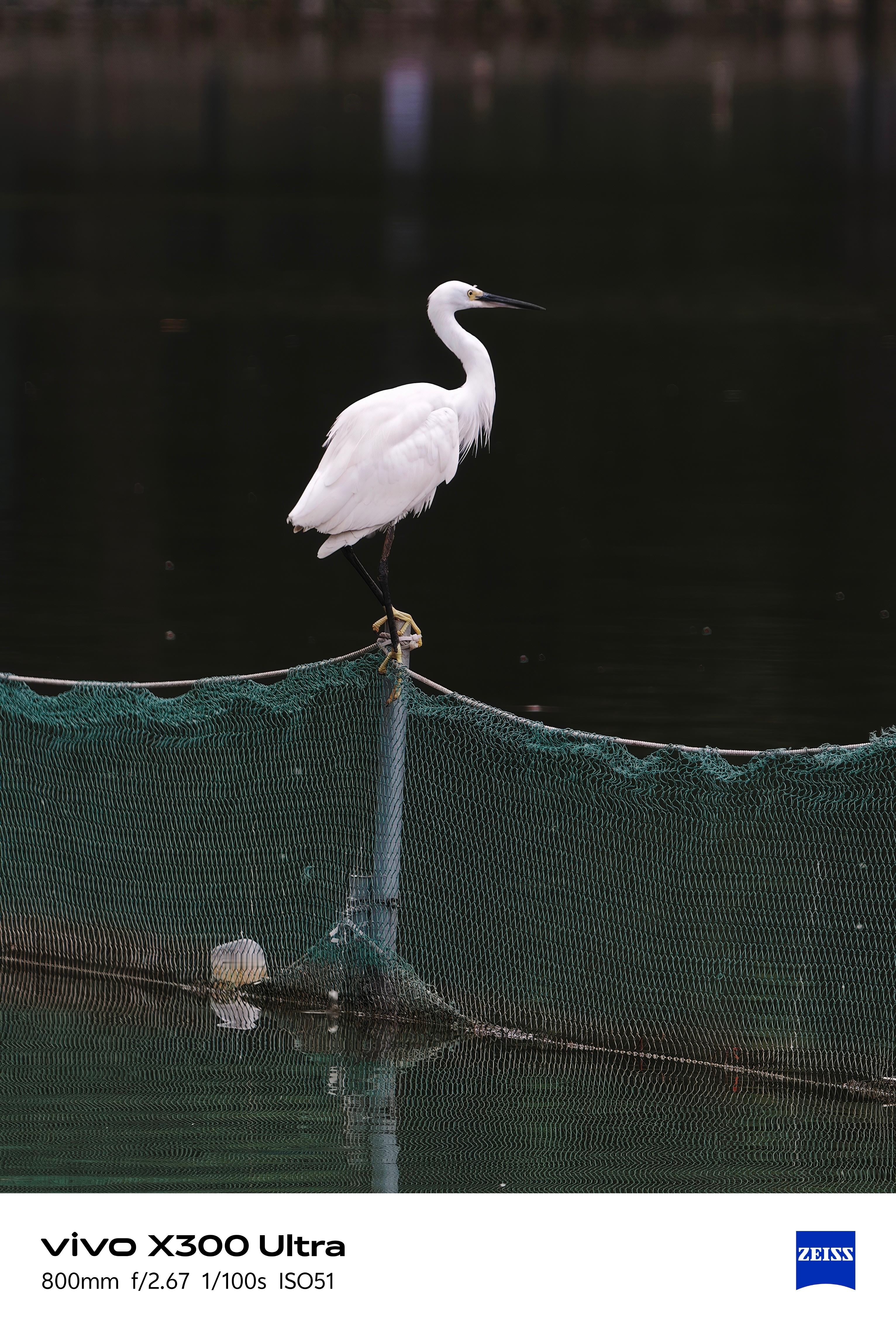 好家伙！vivo X300 Ultra长焦居然这么强？前两天欧哥同学还在问我，这