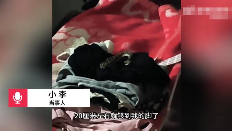 “上辈子积德了！”河南平顶山，一女子半夜被父亲敲窗叫醒，等起身下床时，竟看到1米