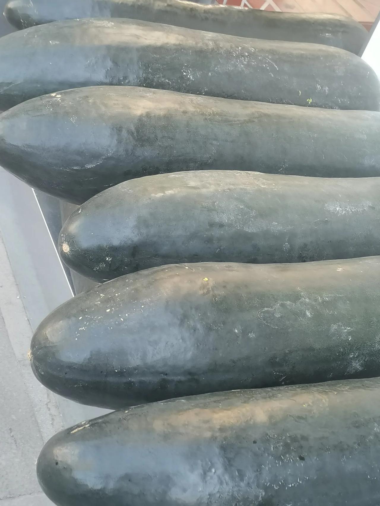 这个冬瓜够大的了，以前在浙江这边员工食堂偶尔会卖一个，差不多一个六七岁小孩的高度