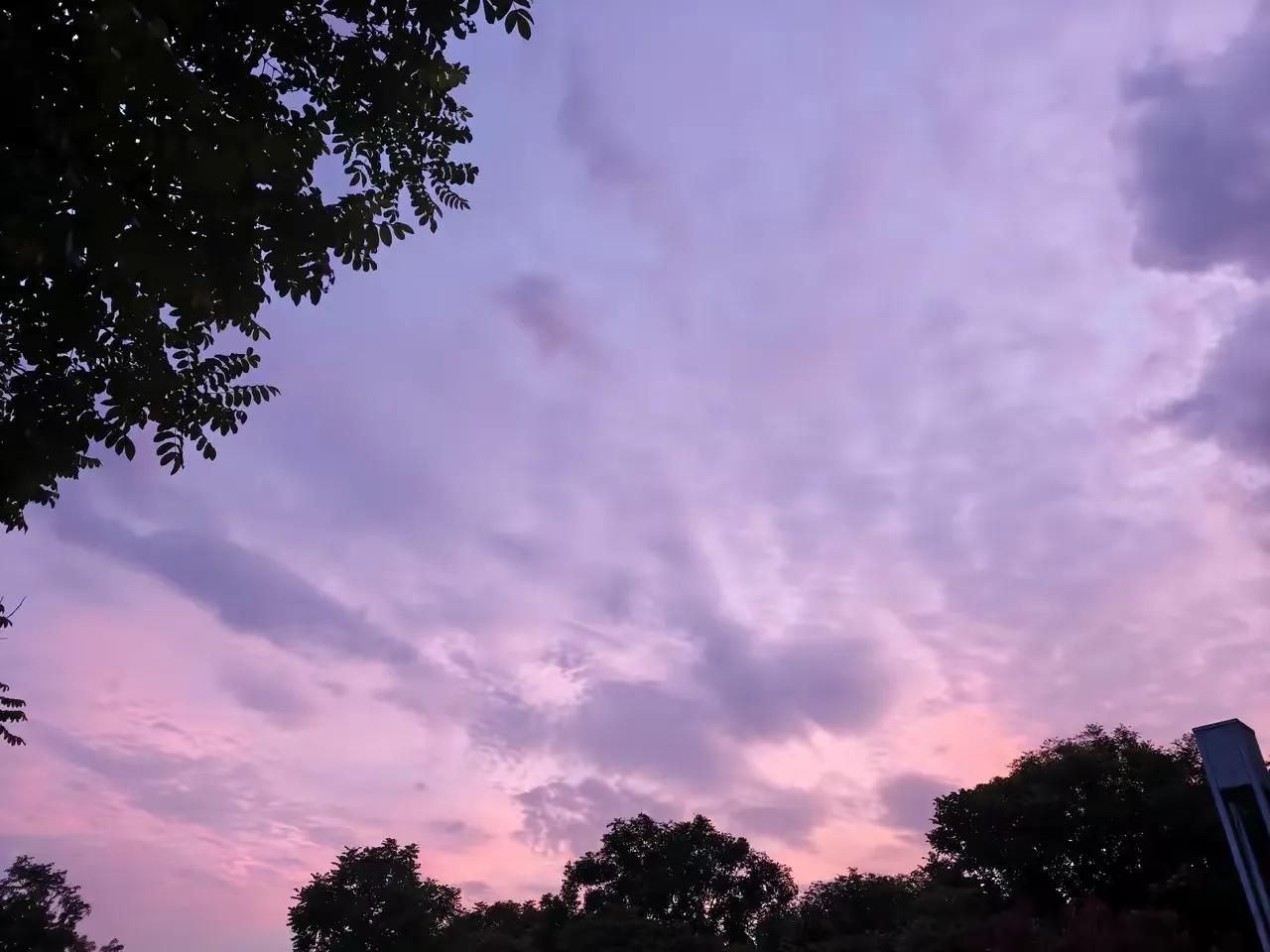 给大家提个醒，接下来九、十、十一、十二，这几个月不要到处乱跑，以静为主。

这几