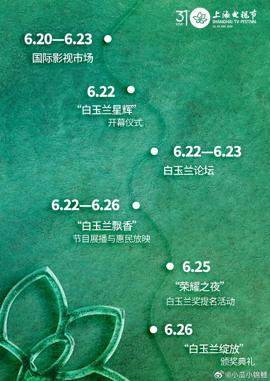 第31届上海电视节期待玉兰花开预测女演员提名版本孙俪 《蛮好的人生》吴越《沉默的