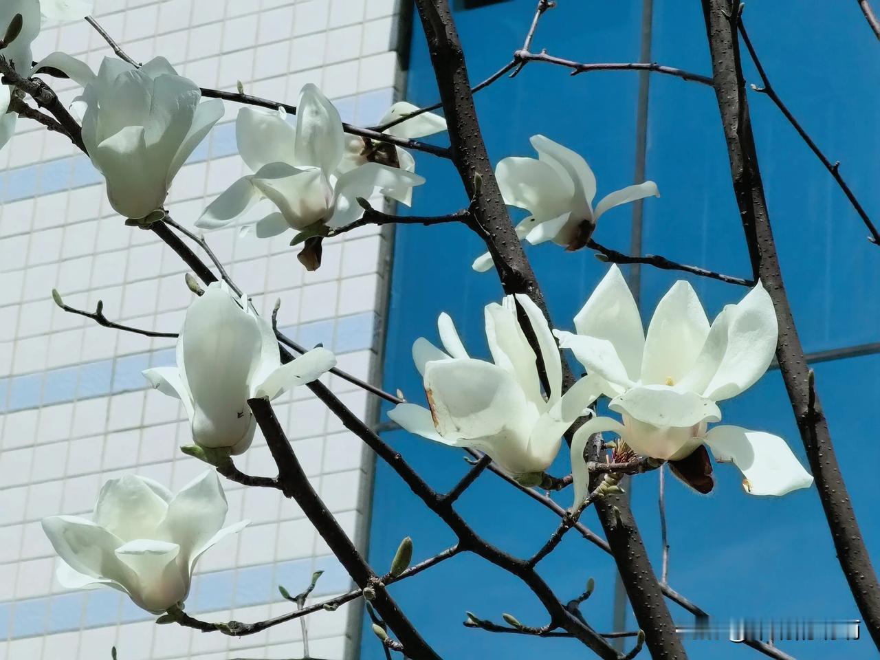 发现没？五十多岁的女教师👩🏻‍🏫真的“挺厉害👍🏻″！
[比心]师专毕业