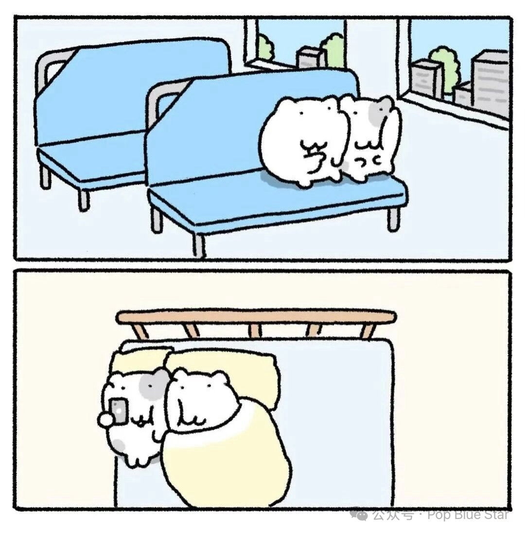 🩵贴贴 