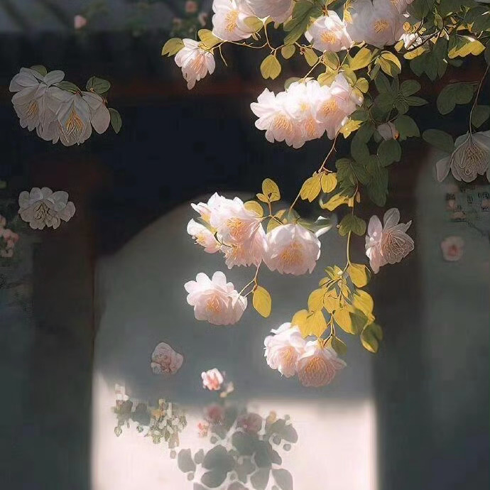 𝐩𝐞𝐚𝐜𝐞 ⑉ ☺︎°🌸🌿“该来的总会来，急也没用； 不该来的求也