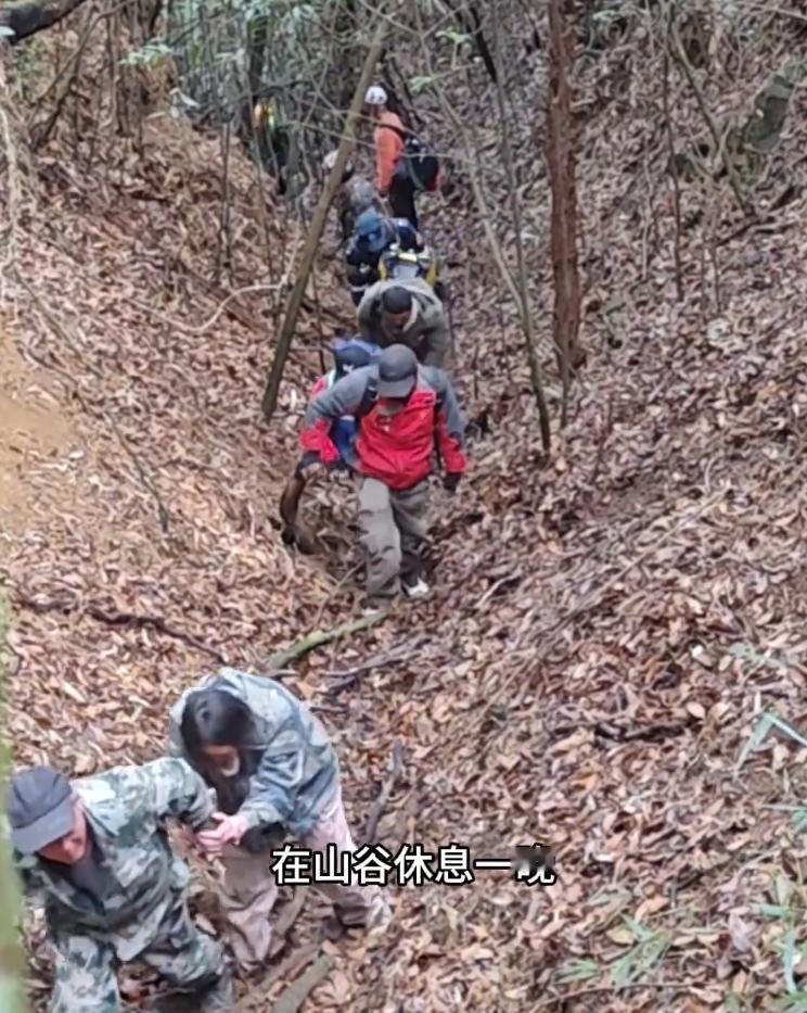 上饶3人擅闯武夷山核心保护区失联，获救后各领2900元罚单

1月23日，江西上