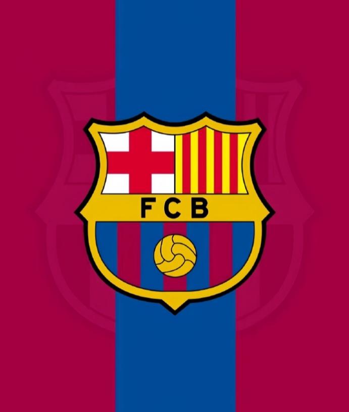 盘点巴萨队史出场超过200场的外援：
小罗，207场（巴西）
弗兰克德波尔，21