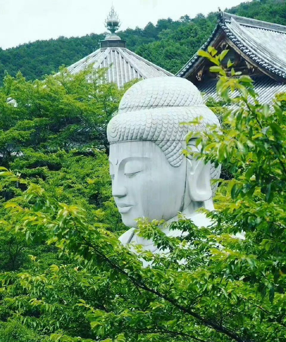 看到了大佛，不要视而不见！ 