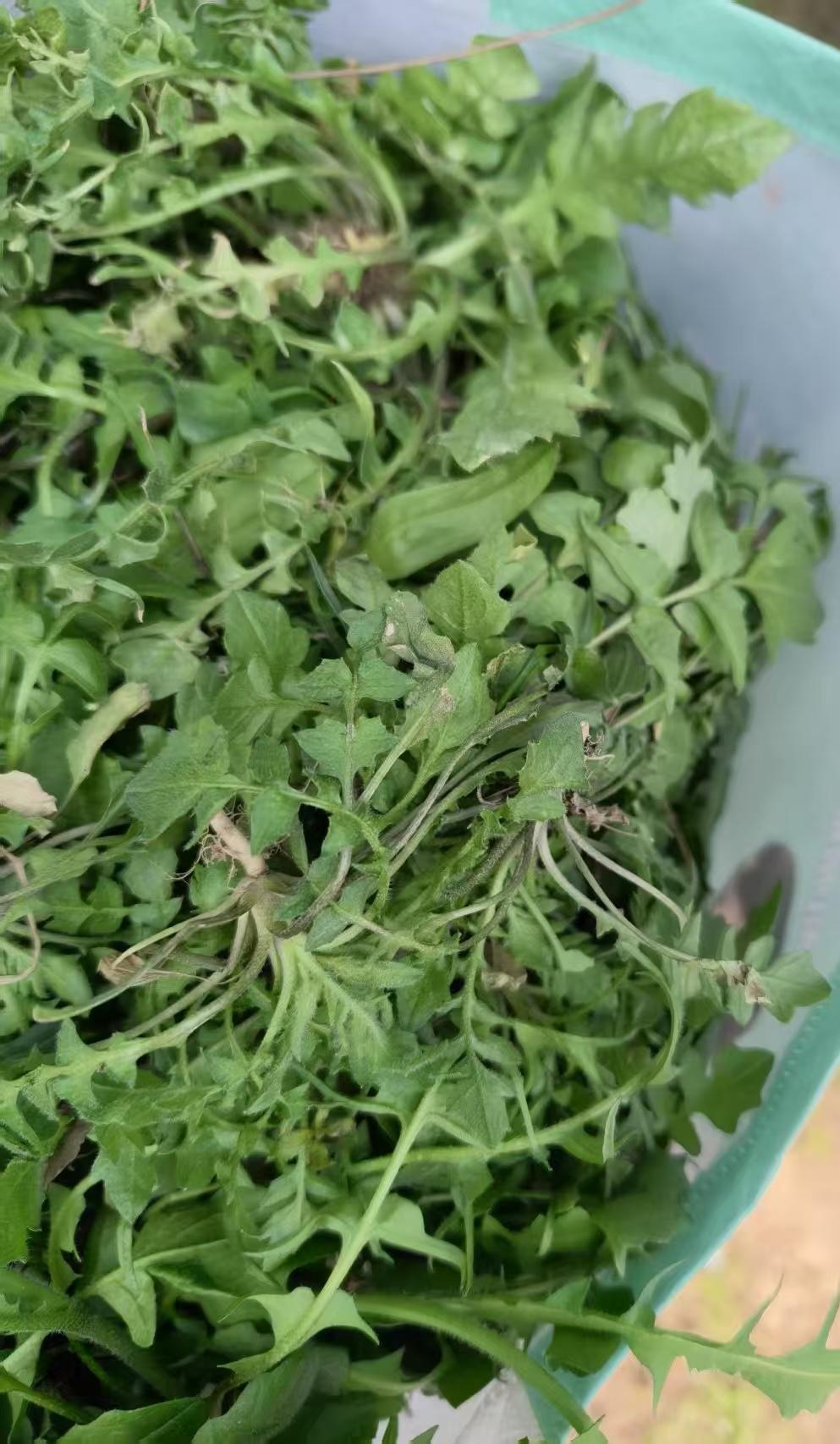        值此青绿

阳春三月，春暖花开。

这是个妖饶的季节，空气里弥漫着