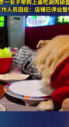 带狗舔肉卷？这把这家店坑惨了！
 北京这家涮肉店真是碰到了离谱的事！12月16号