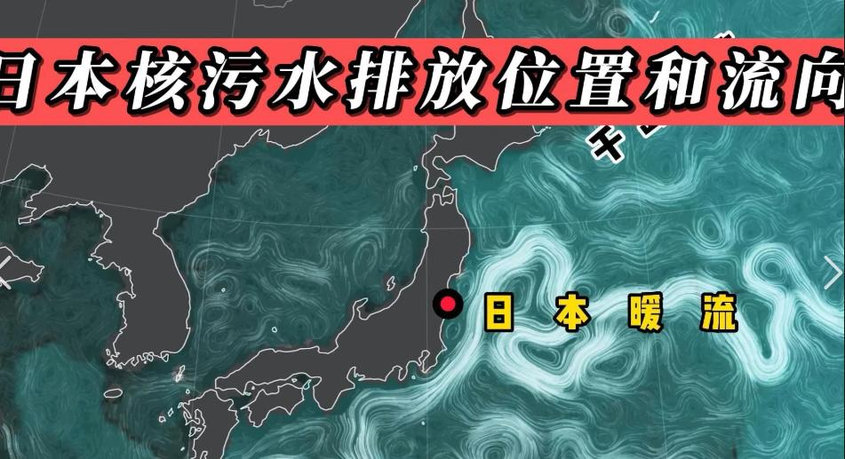 日本排放核水后，奇怪的事发生了：刚开始各国对海鲜避之不及，如今 3 年过去，核污