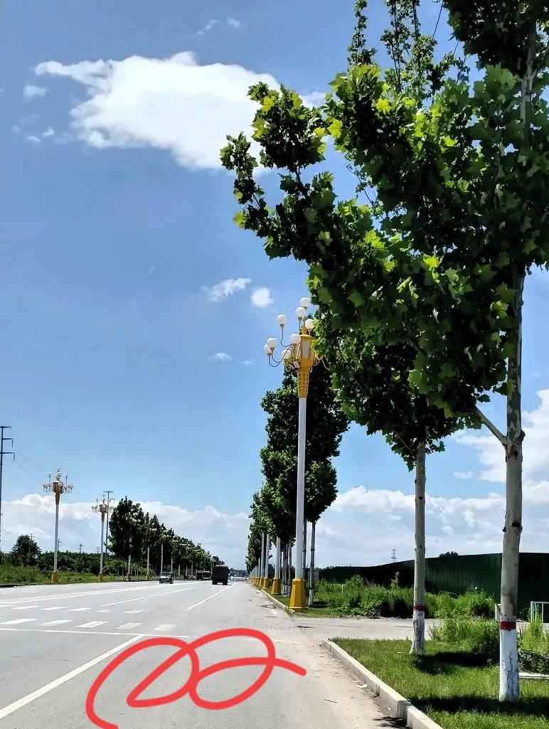 高考一结束，不少学生的暑期计划直接安排得满满当当，学车更是成了热门选择。同事家孩
