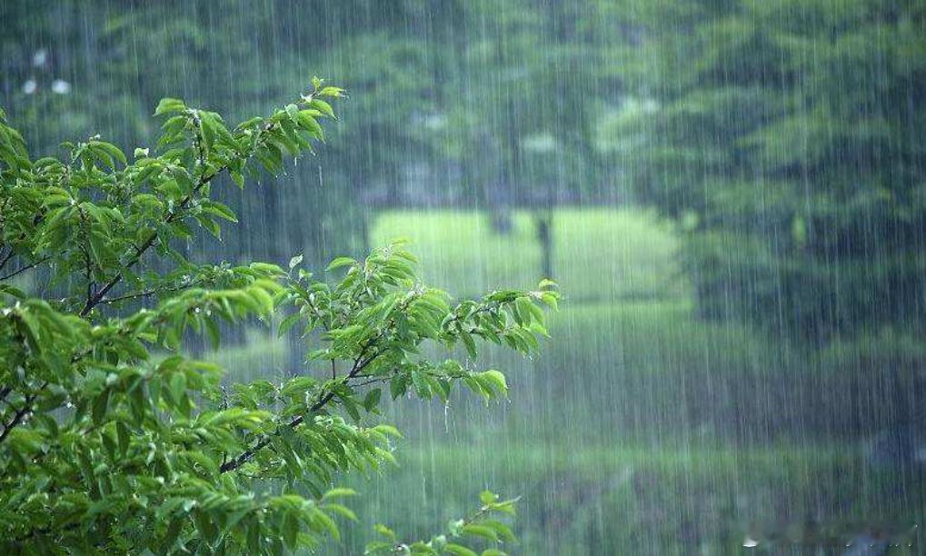 东北网友称有被南方雨季震撼到 今年梅雨季节2025年6月6日到7月13日，这天气