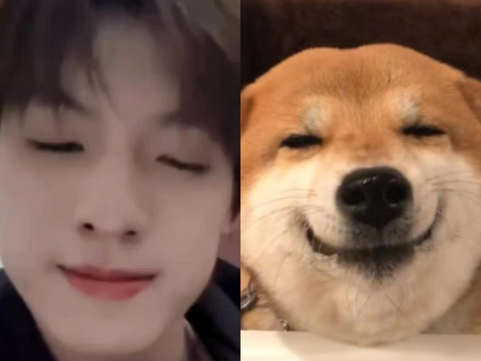 满分小狗🐾张泽禹 十九逢晴晓霁鸿鸣