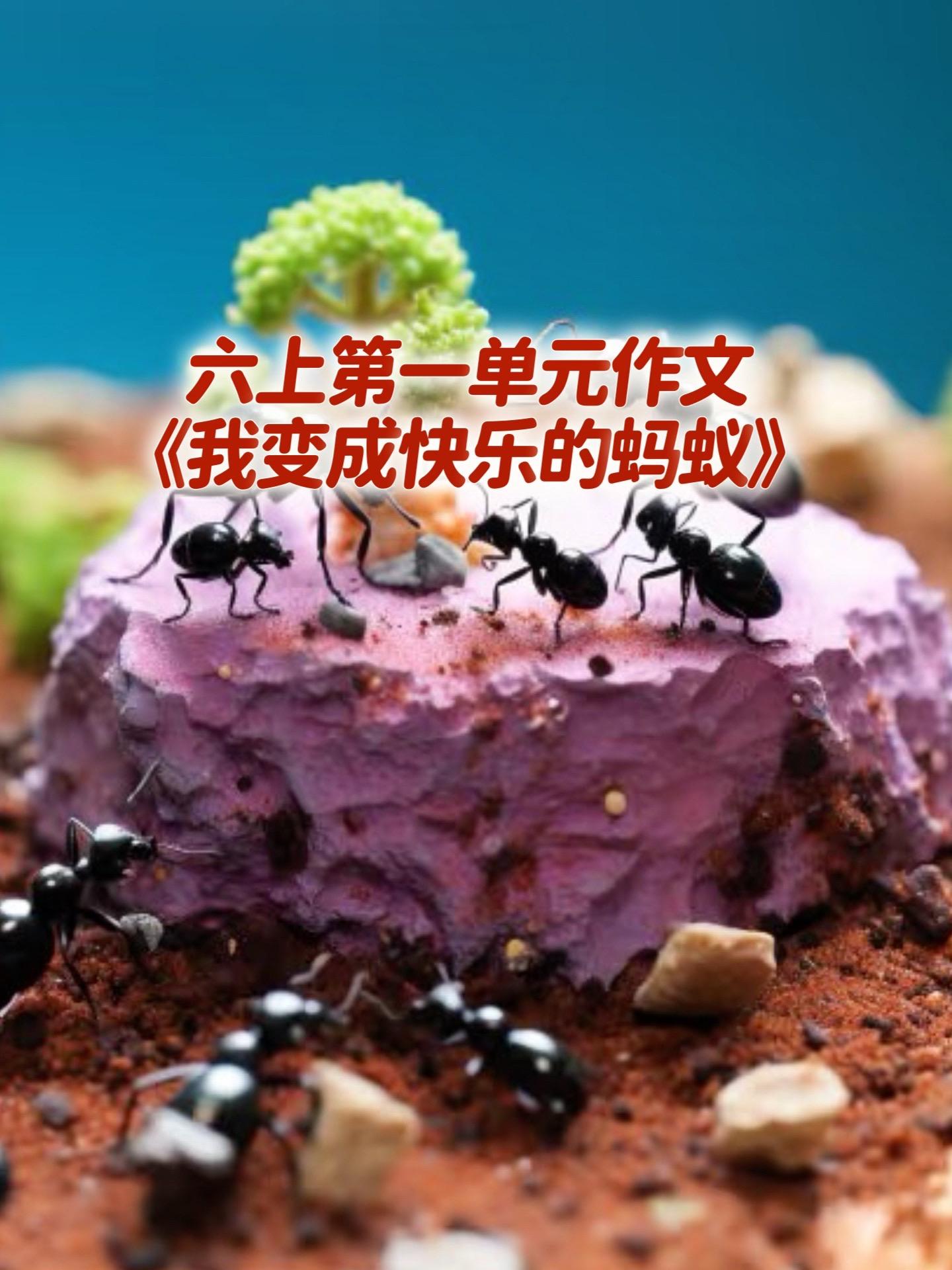 《我变成快乐的蚂蚁》 优秀范文。家长必读，小学六年级上册第一单元习作《...