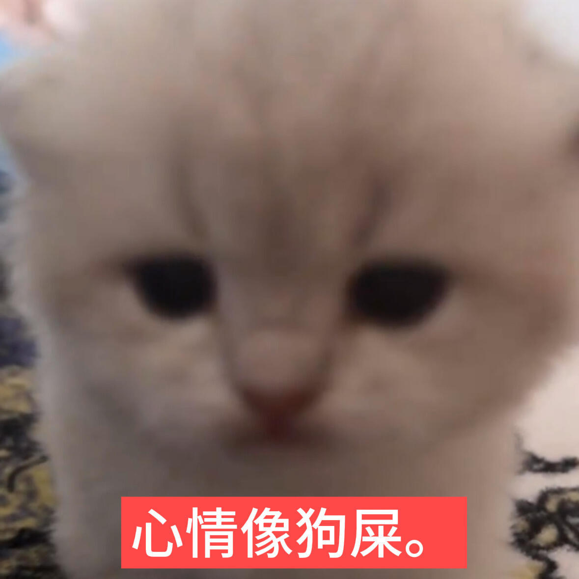 小地方的闲言碎语真的好多啊比如某人说看到你跟男性逛超市 就问你是不是谈了（谣言的