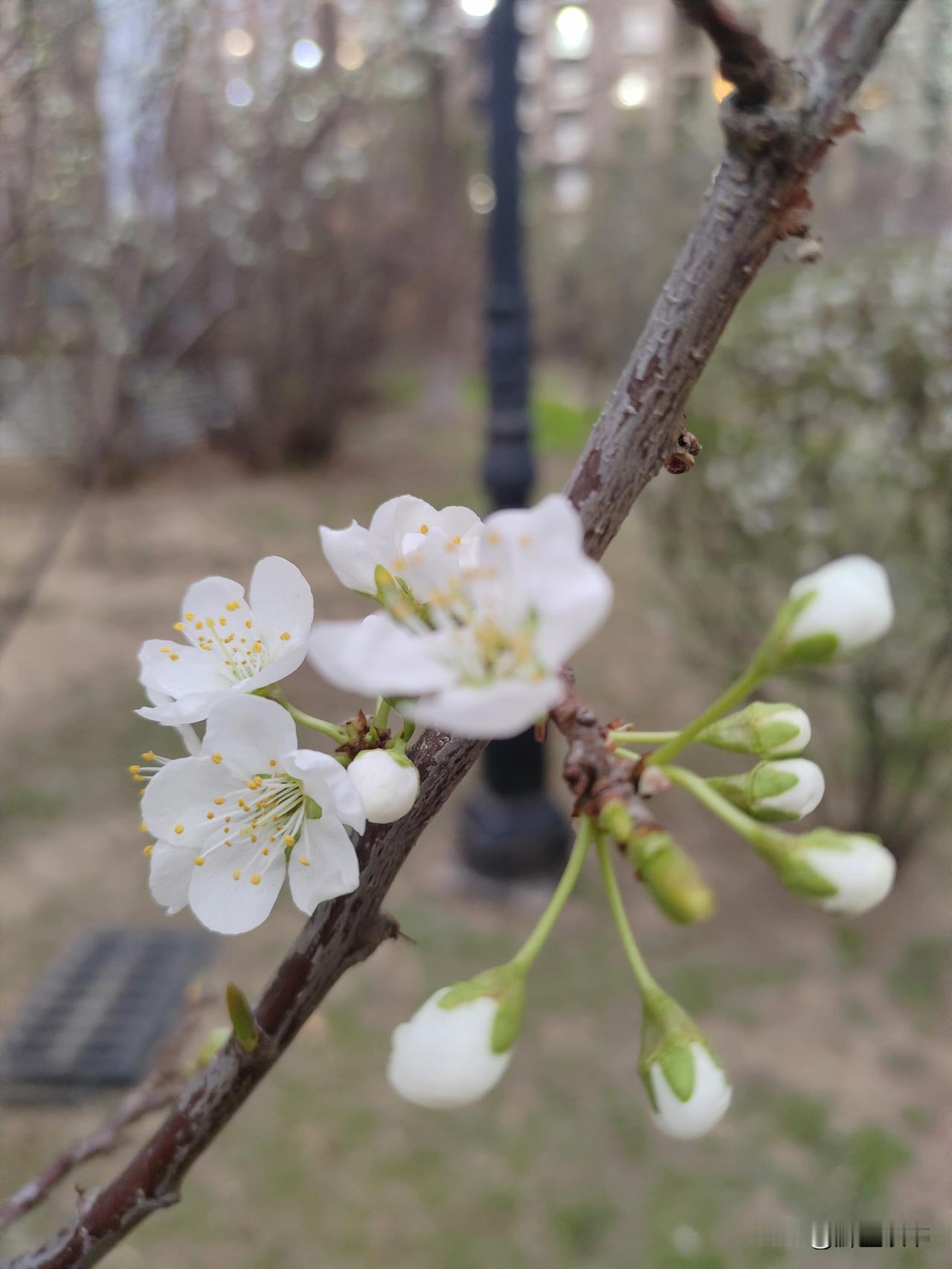 开口就提“我有个朋友很厉害”的人，往往没真本事
 
生活里总有一种人，一聊天就把