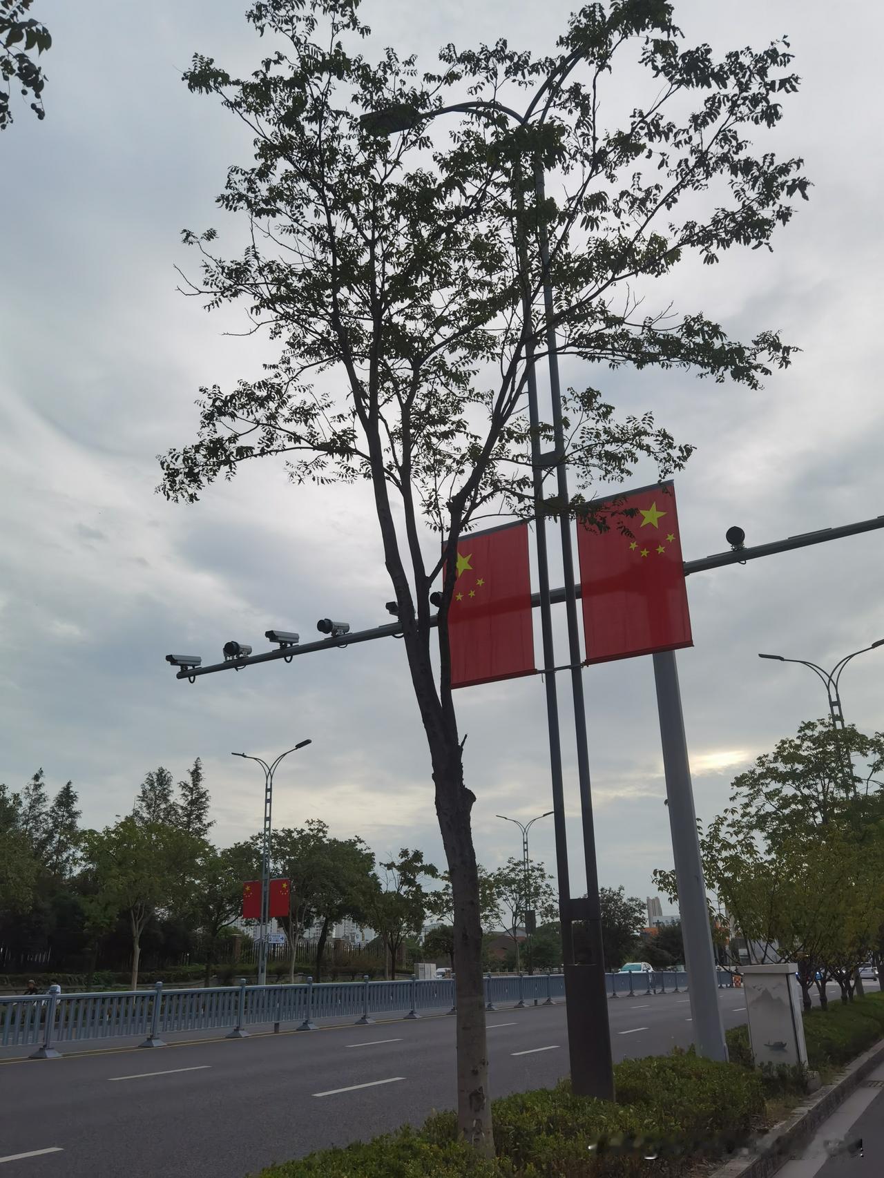 骑车回家的路上，眼瞅着路边的国旗都挂起来了，红灿灿的一片，风一吹还飘着，心里突然
