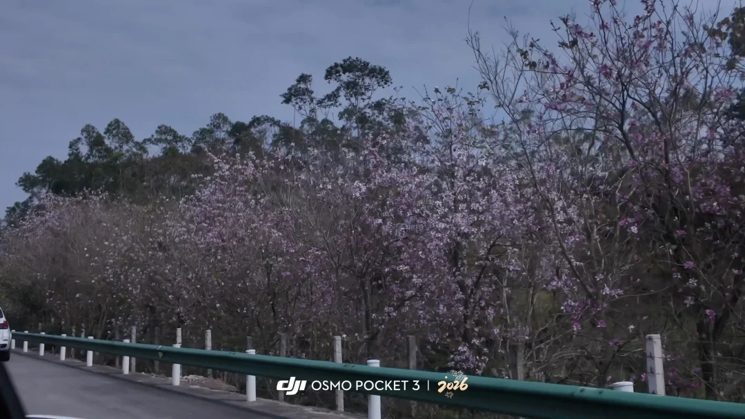 大疆拍的灰蓝灰蓝的