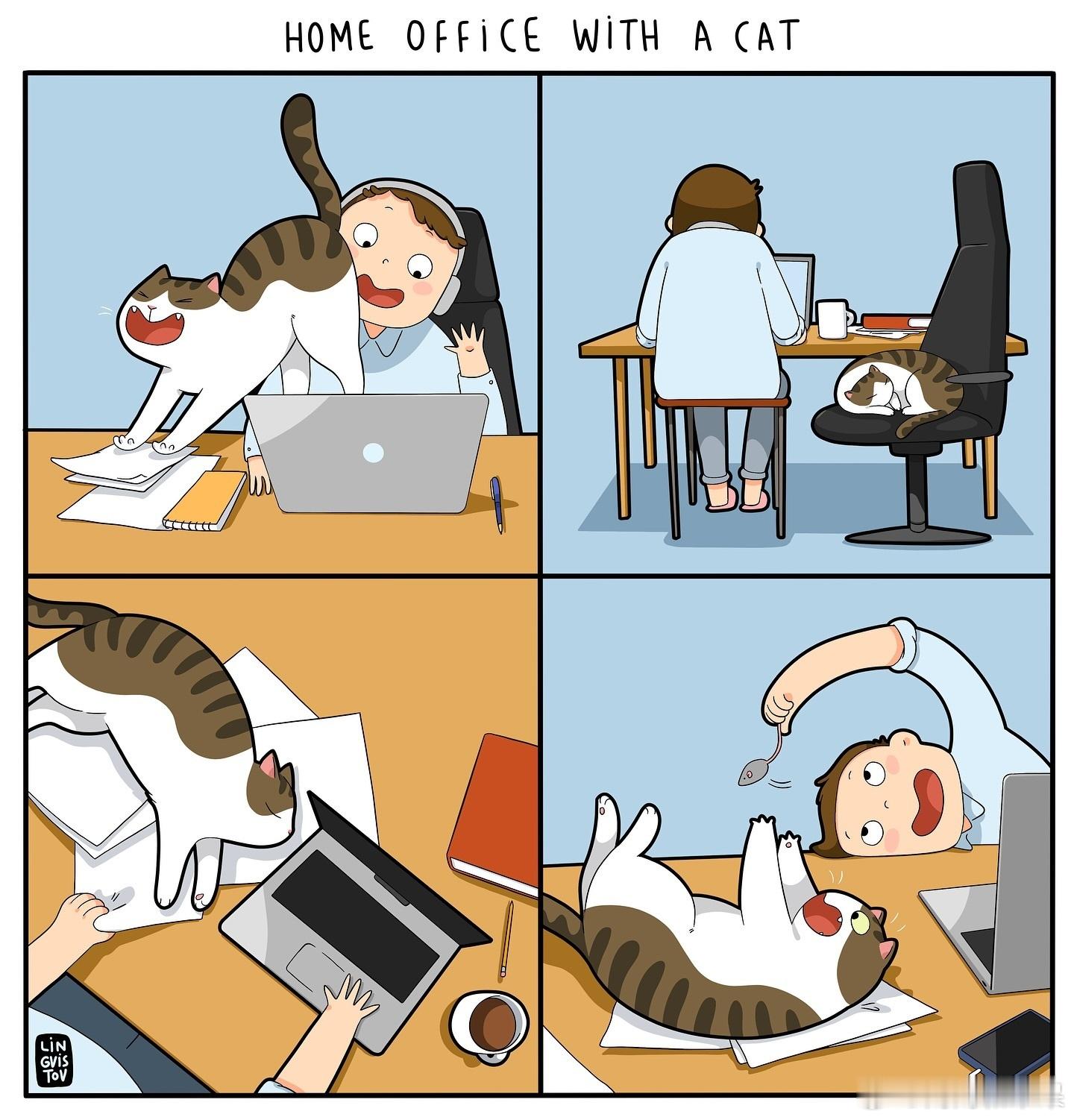 和猫在家工作💻🐱cr：lingvistov 
