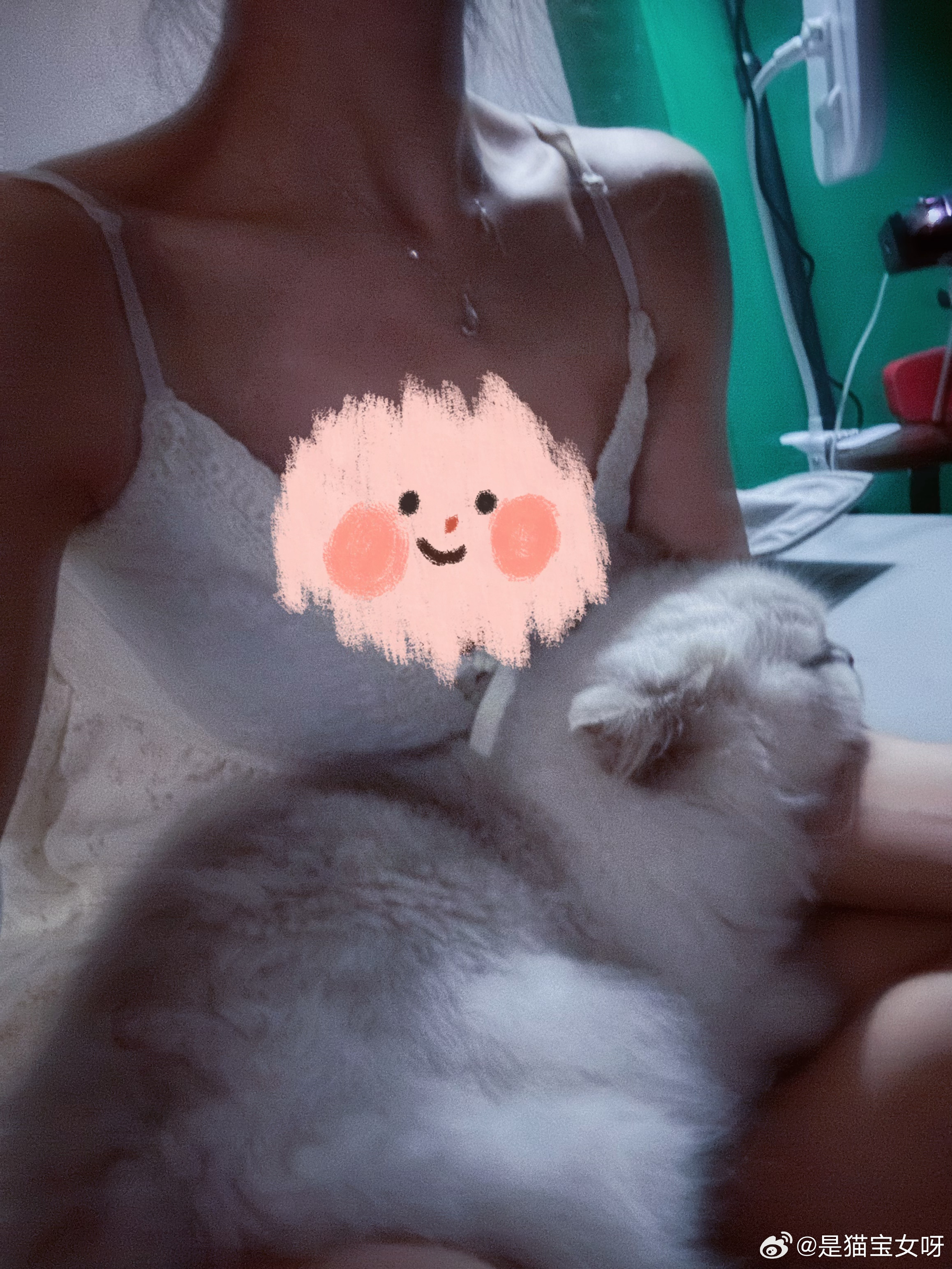 咪自己跑来我怀里的，果然还得是女儿～小for 说他同学爸妈离婚了，说小孩子和妈妈