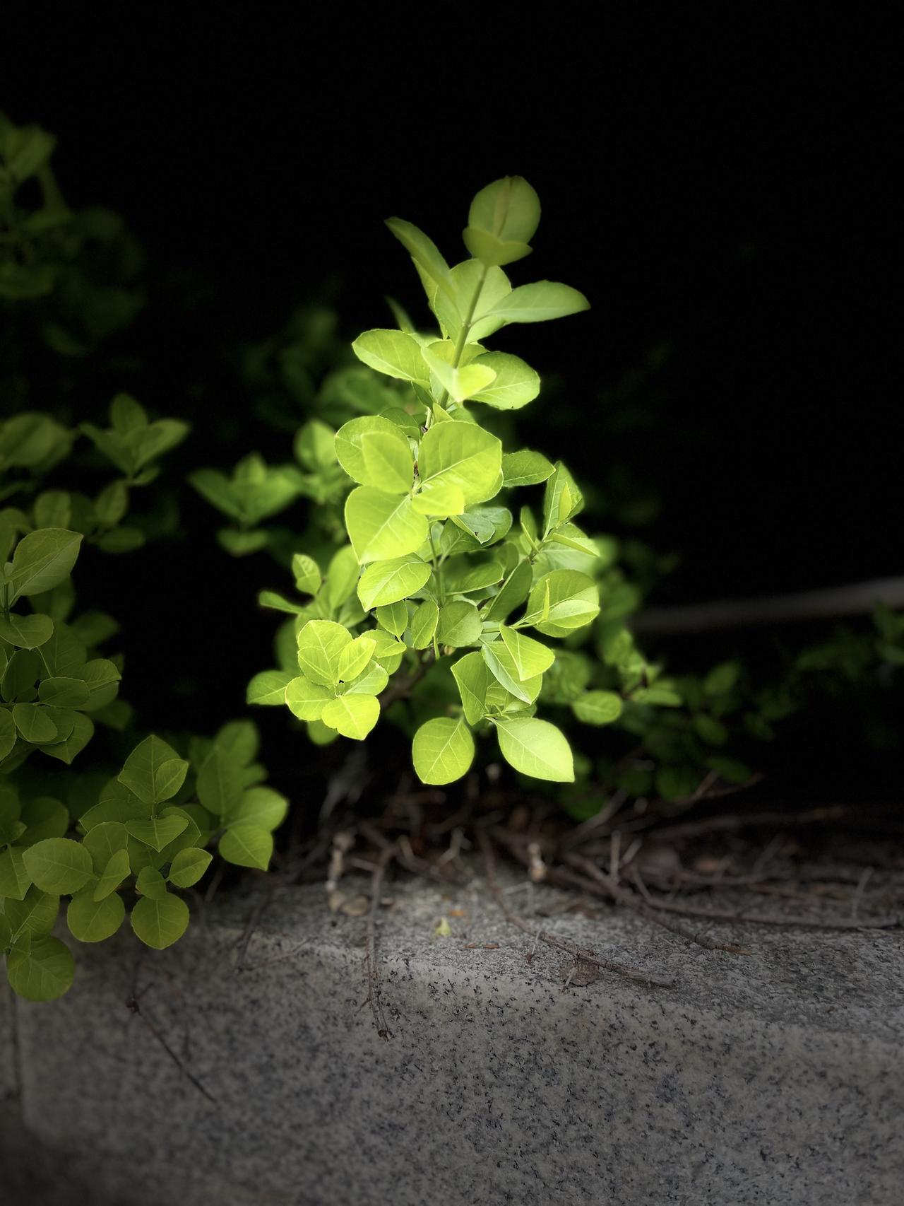 养生最大的骗局，是你一边往漏水的桶里灌人参，一边骂自己身体不争气。

熬夜追剧你