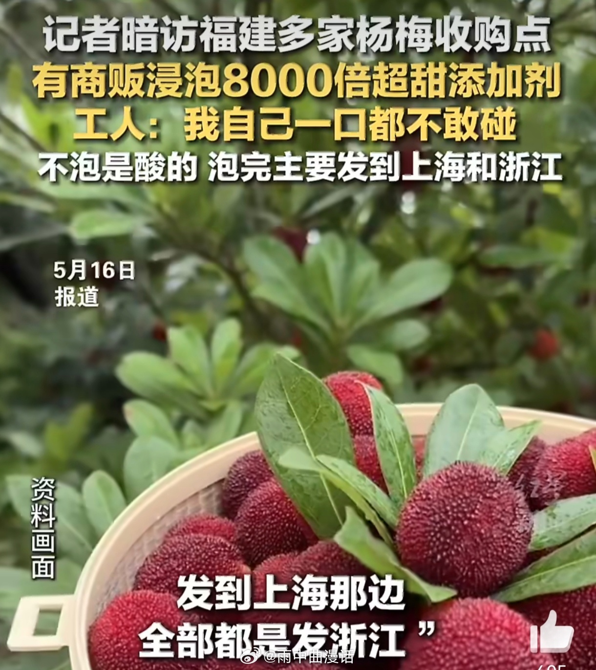 泡药杨梅事件后卖惨无法挽回信任漳州杨梅的信任危机，本质是长期监管缺位与行业自律缺