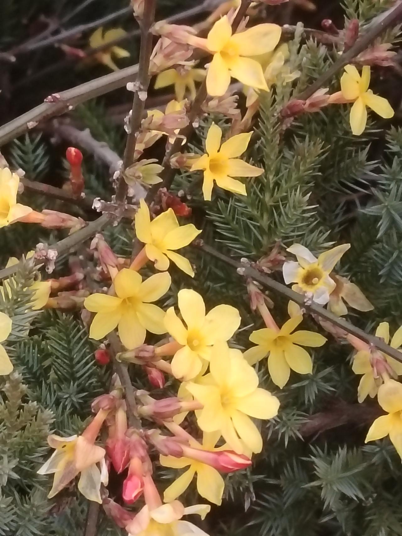 怎么你想我了吗。急了，平常没人陪你说话交流吗。太热情。不过飞吻夠不着呀今日头条