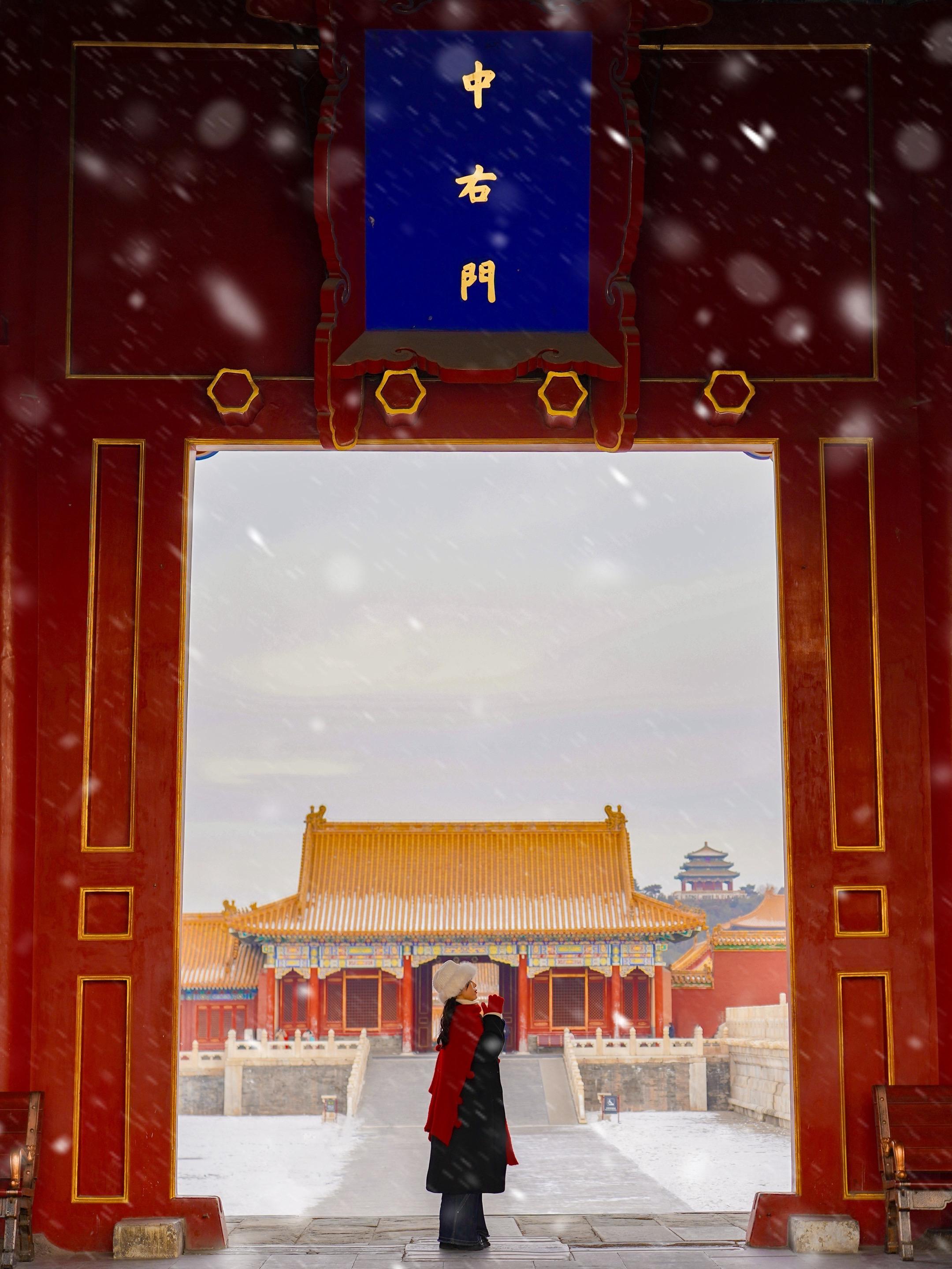 故宫初雪❄️下雪的紫禁城美到封神！！！北京初雪 梦回紫禁城❄️ 冬天总...