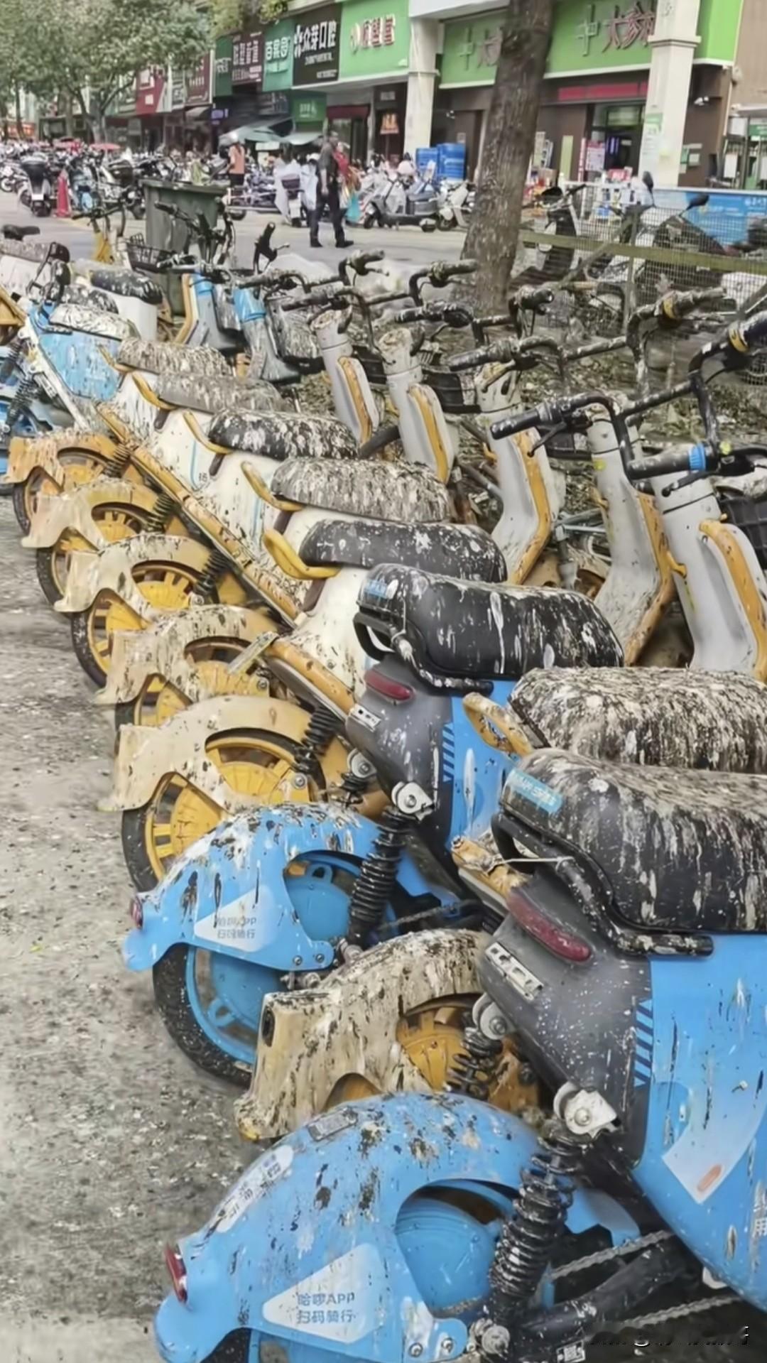 全是鸟屎，这还怎么骑啊？