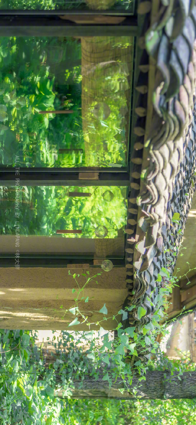 在绿色的夏天，微风轻拂，阳光正好。大自然的调色盘洒满了大地，每一片叶子都在诉说着