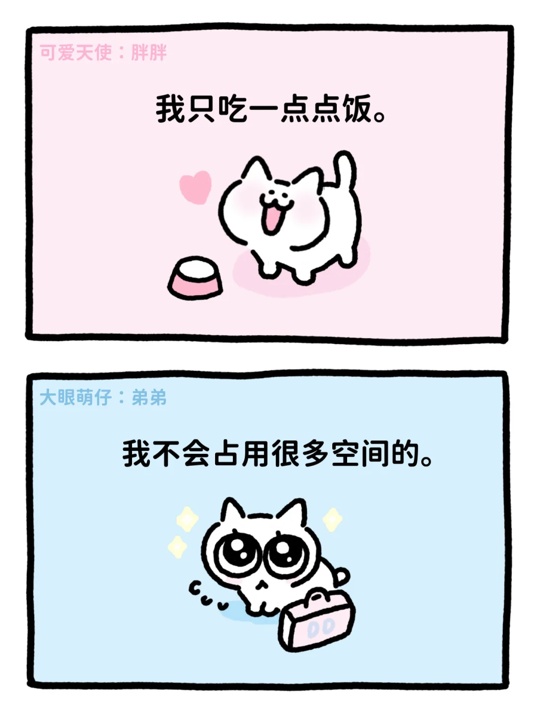 请选择你的小猫室友🐾