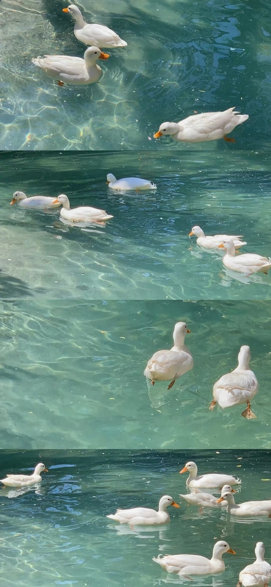 老规矩，睡前一更。明日甲辰  丁卯  己巳。重视基础，重新巩固。我嚼着，明天算是