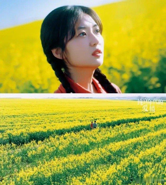 《生命树》央八年季位置不保！陈飞宇和孙千《纯真年代的爱情》开播四天，收视率连续上