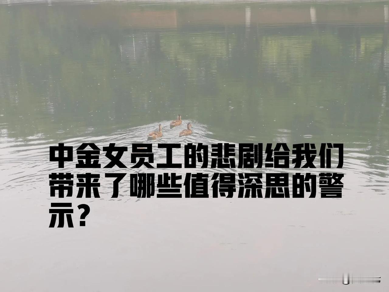 中金女员工的悲剧给我们带来了哪些值得深思的警示？

1. 年轻人严重缺少挫折教育