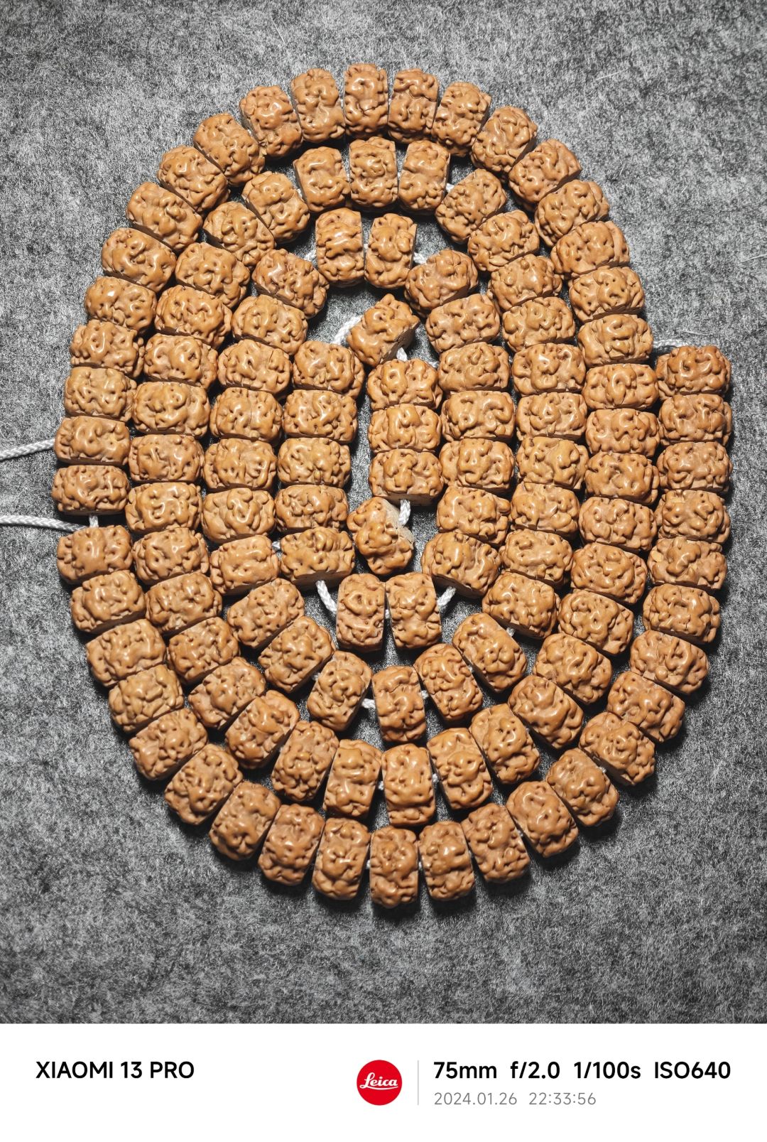 NO.379 玄武纹小金刚