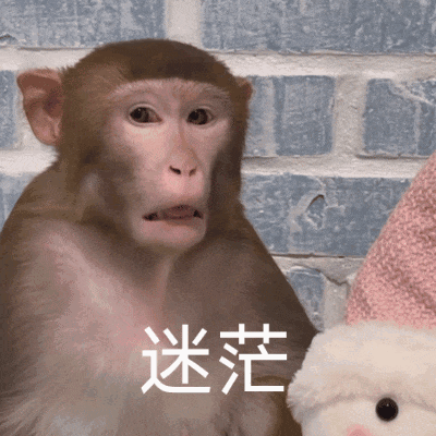 你的公积金悄悄变多了什么！？难道大家都有五险一金！？ 