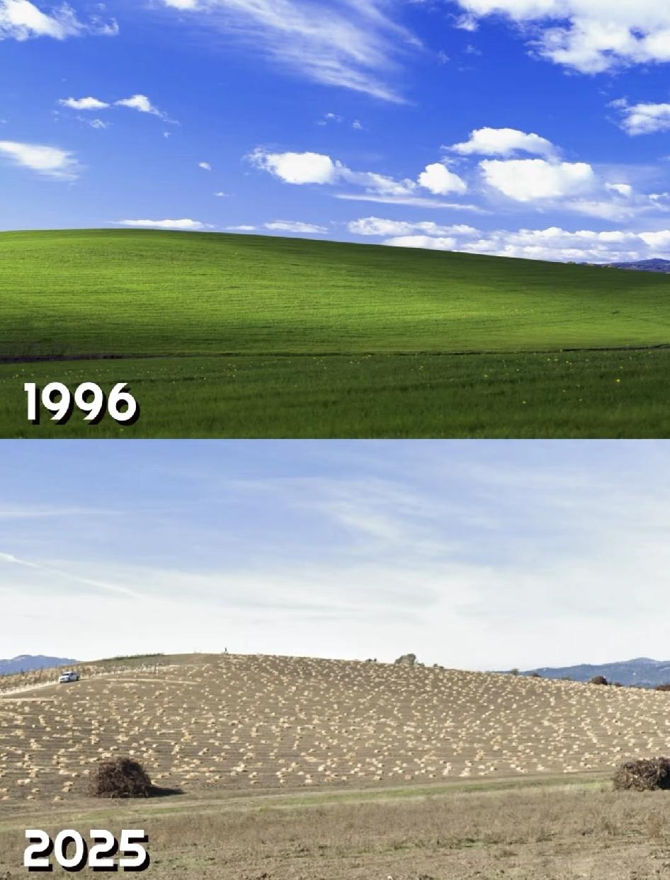 这张照片能封神，除了Windows XP的功劳外，还在于查尔斯·奥里尔拍完后这里