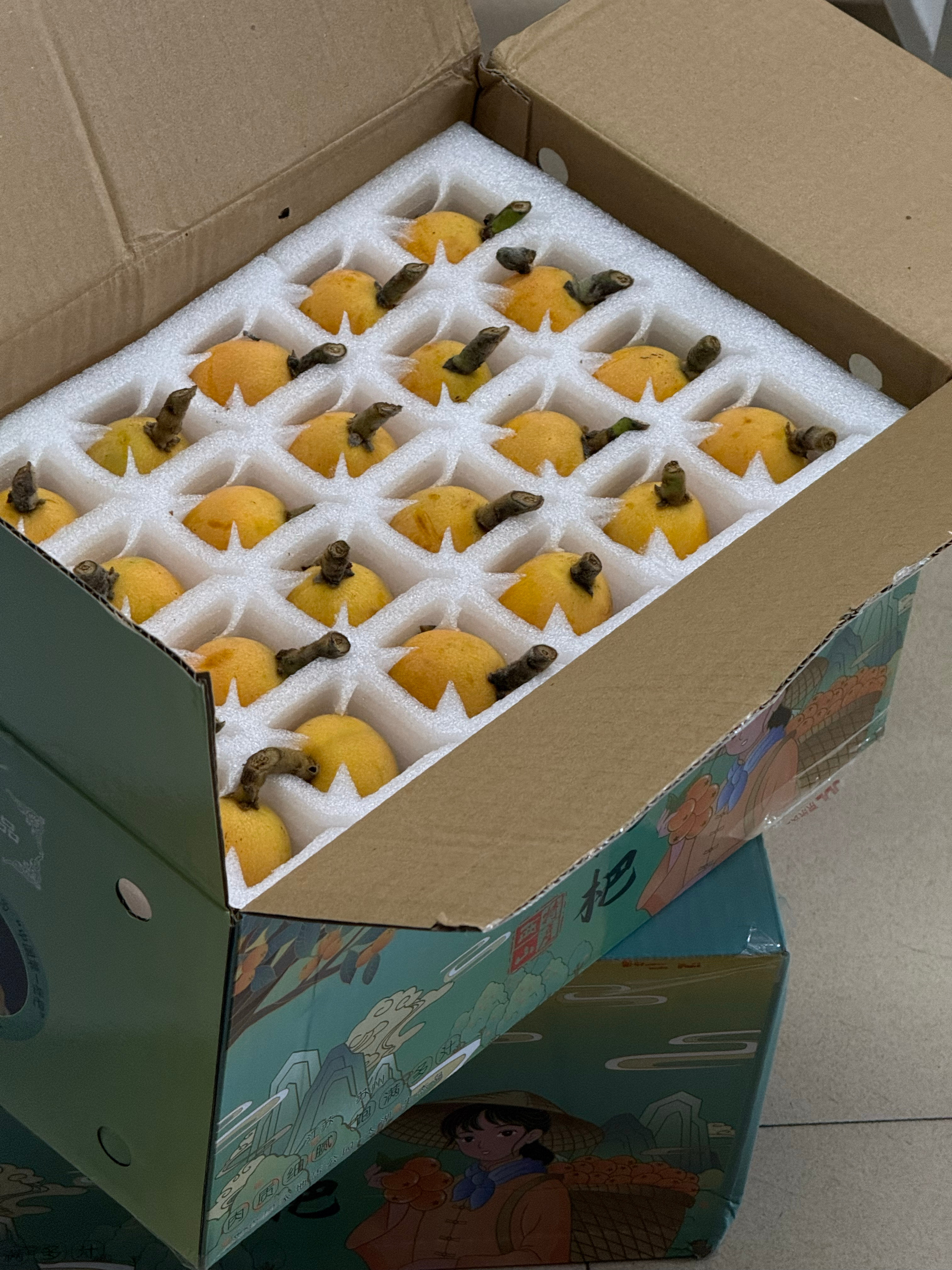 枇杷枇杷～ 