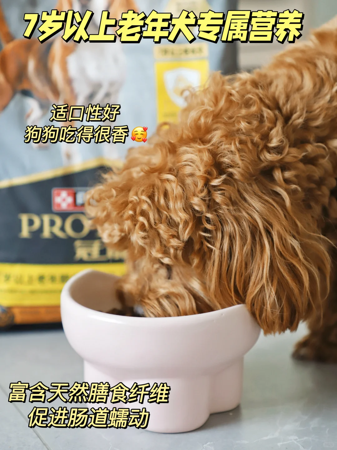 双十一囤货，老年犬狗粮怎么买？