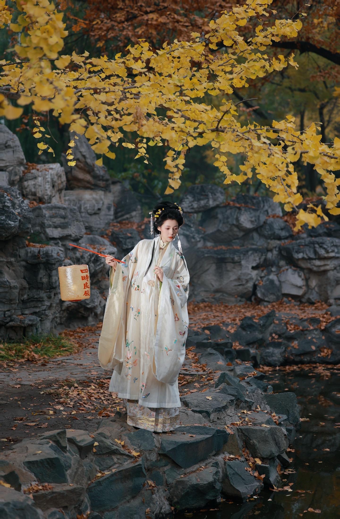 一阵风，一场梦…