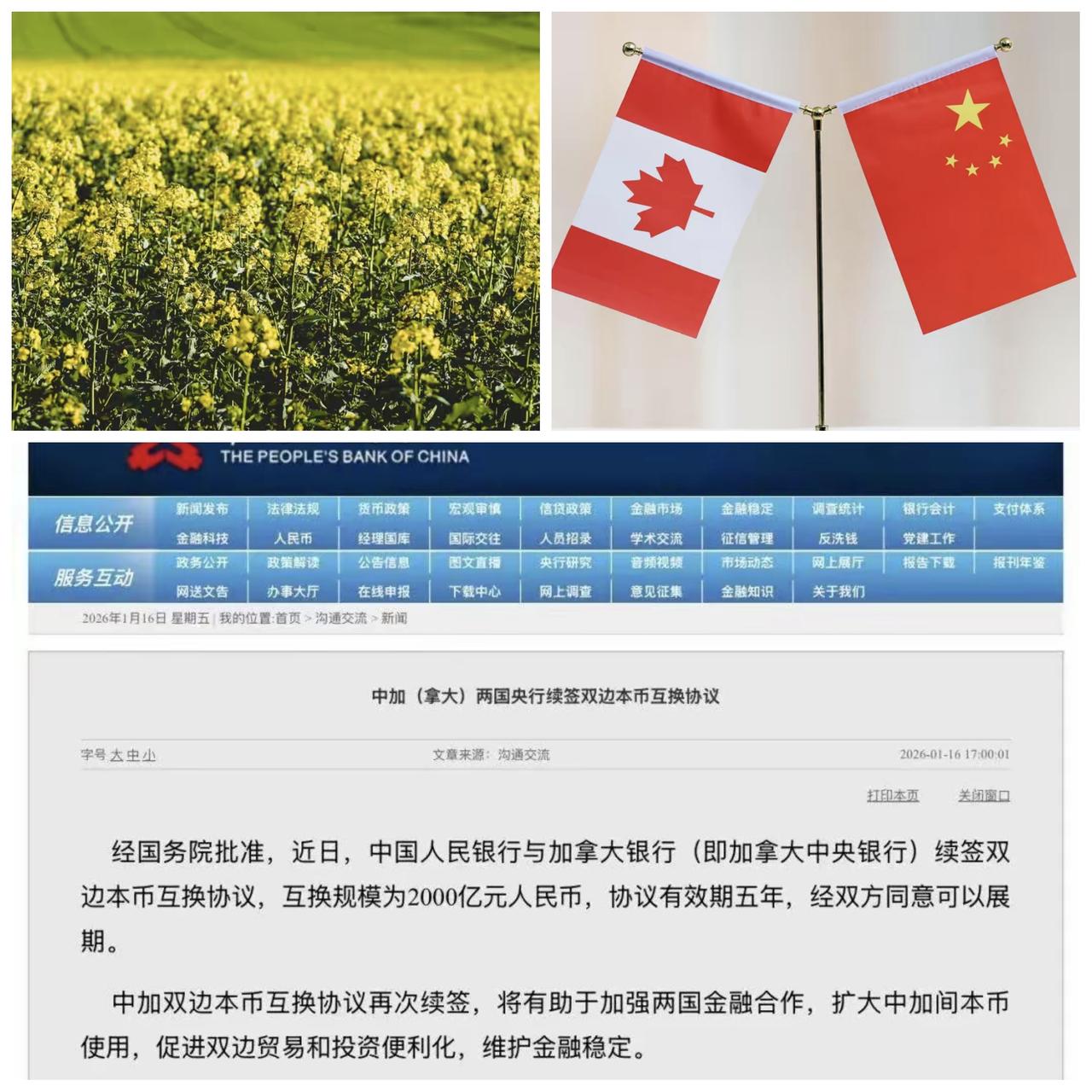 ✨加拿大这浓眉大眼的也投降了✨

🐼 卡尼亲口宣布，要进口中国4.9万辆电动汽